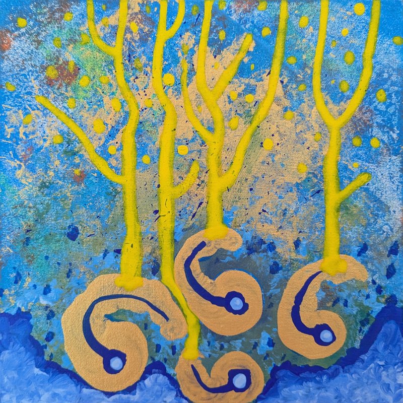 Dévéloppement extérieur